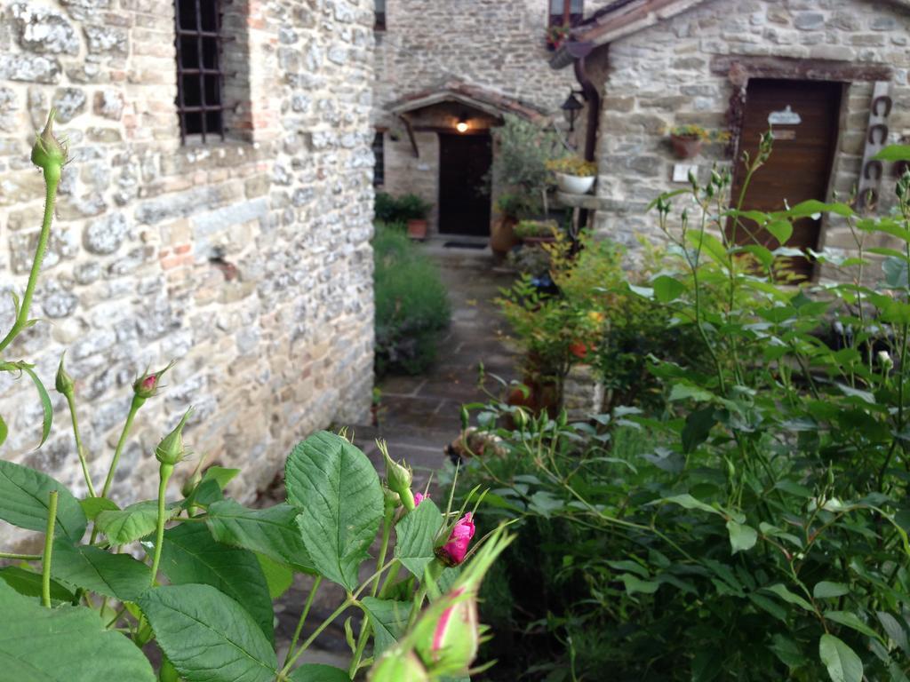 Agriturismo Biologico Castello Della Pieve Mercatello sul Metauro Exterior photo